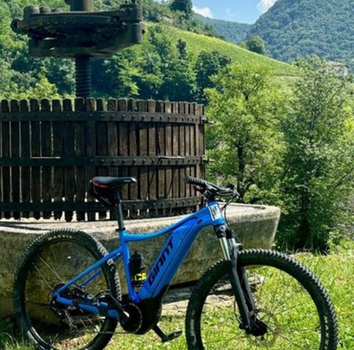 Balade à vélo, Bourg-en-Bresse, MAISON BILLON