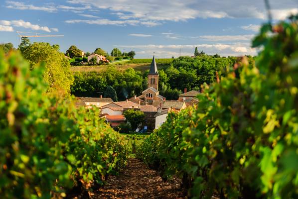 Roulotte insolite, Bourg-en-Bresse, MAISON BILLON