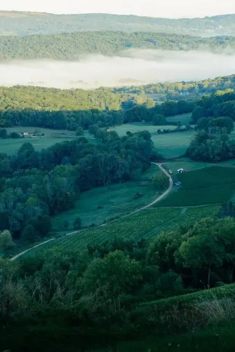 Parcours et balades à vélo dans les vignes proche de Bourg-en-Bresse, Bourg-en-Bresse, MAISON BILLON