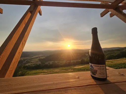 Balade apéro coucher de soleil dans les vignes à Cerdon, Bourg-en-Bresse, MAISON BILLON